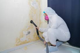 Asbestos and Lead Testing During Mold Inspection in Taylor Lake Village, TX